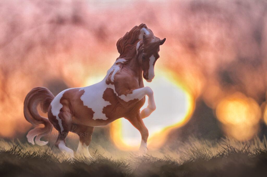 Horse in front of pink and orange sunset.