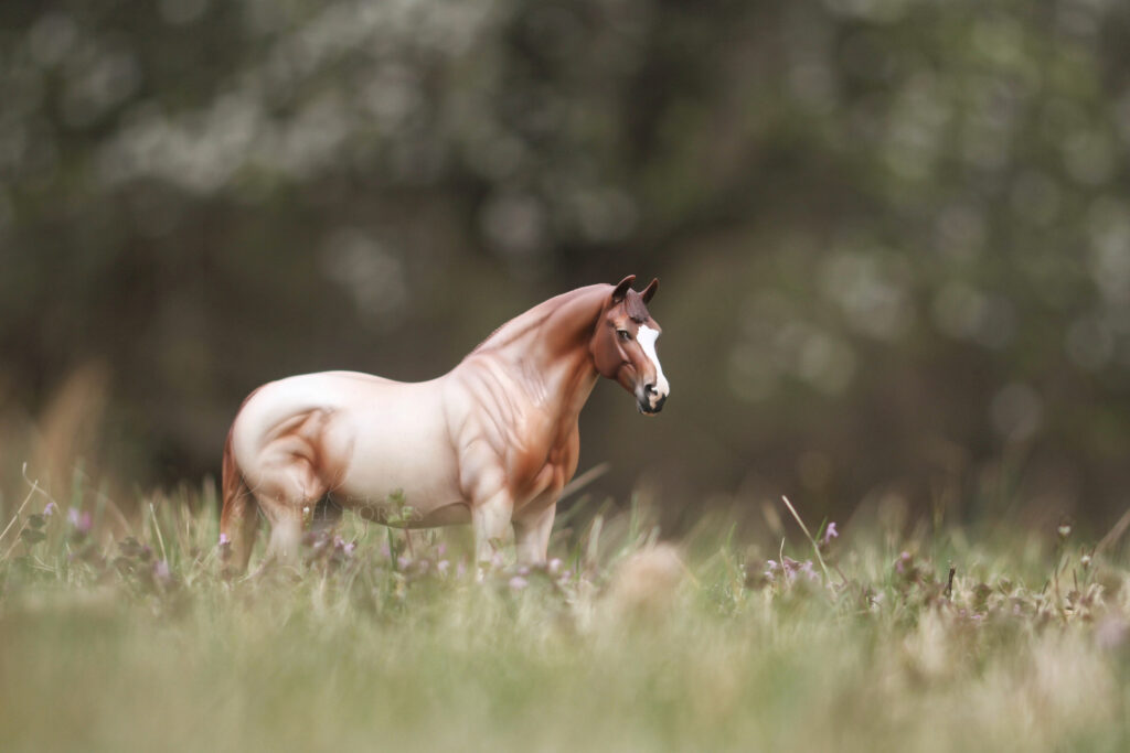 Horse standing in field.